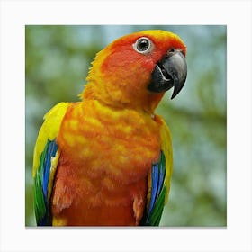 Colorful Parrot 1 Canvas Print