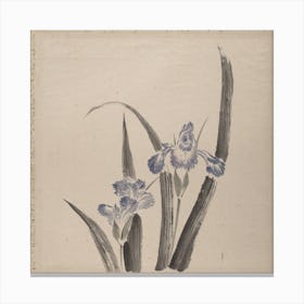 Orchid Flower, Album Of Sketches (1760–1849) Painting, Katsushika Hokusai Canvas Print