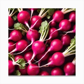 Radishes 9 Canvas Print