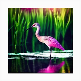 Pink Wading Bird alongside Lush Green Aquatic Grass Canvas Print