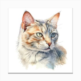 Selkirk Cat Portrait 1 Canvas Print