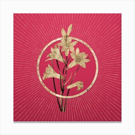 Gold St. Bruno's Lily Glitter Ring Botanical Art on Viva Magenta n.0273 Canvas Print