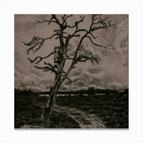 Lone Tree Canvas Print