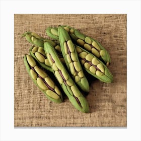 Pea Pods Canvas Print