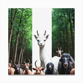 Animals Of The Forest Canvas Print