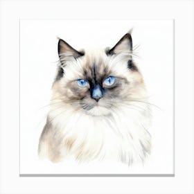 Birman Cat Portrait 1 Canvas Print