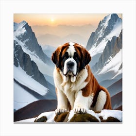 St Bernard Dog 50 Canvas Print