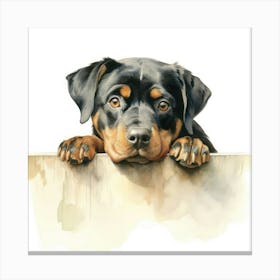 Rottweiler 3 Canvas Print