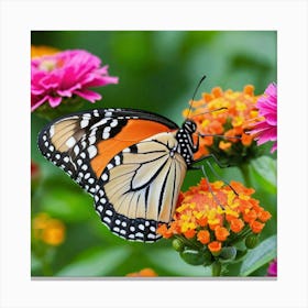 Monarch Butterfly 1 Canvas Print