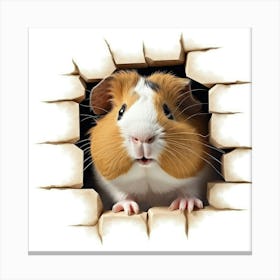 Guinea Pig 30 Canvas Print