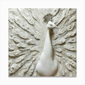 White Peacock 1 Canvas Print