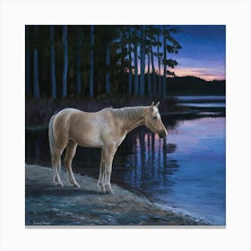 Horse By The Water 4 Canvas Print