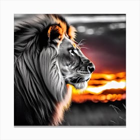 Sunset Lion 2 Canvas Print