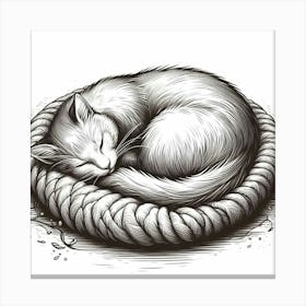 Cat Sleeping In A Basket Canvas Print