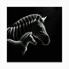 Zebra And Foal 1 Canvas Print