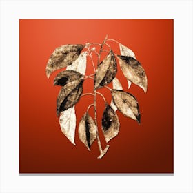 Gold Botanical Camphor Tree on Tomato Red n.2289 Canvas Print