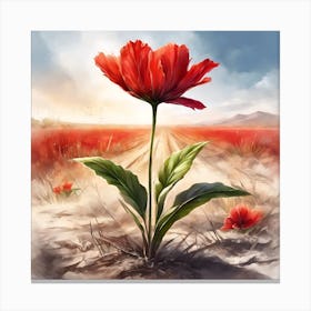 Red Poppy Canvas Print