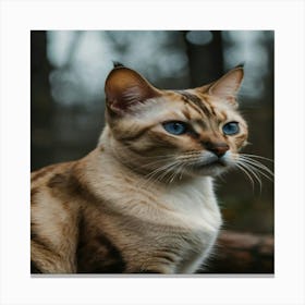 Bengal Cat Canvas Print