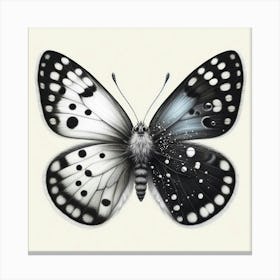 Butterfly In Black And White 10 Canvas Print