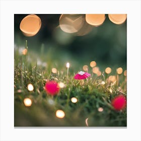 Fairy Lights In The Grass Canvas Print