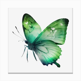 Green Butterfly Canvas Print