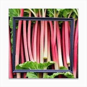 Rhubarb 60 Canvas Print