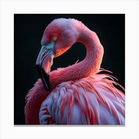 Flamingo 74 Canvas Print