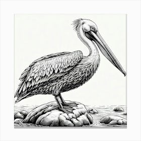 Line Art pelican 2 Canvas Print