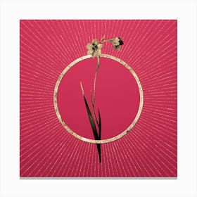 Gold Sword Lily Glitter Ring Botanical Art on Viva Magenta n.0225 Canvas Print