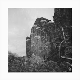 Kenilworth Castle Double Exposure 2024 Canvas Print