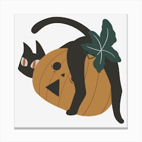 Curious Black Cat And Pumpkin Canvas Print