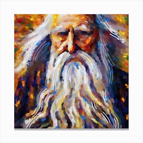 Portrait of an old man with a white beard Canvas Print