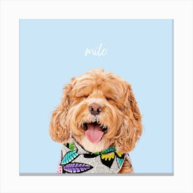 Mello Canvas Print