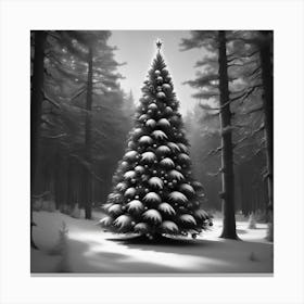 Christmas Tree In The Snow 11 Canvas Print