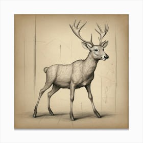 Deer Drawing 15 Canvas Print