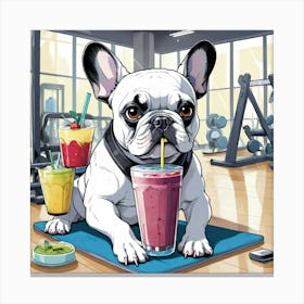 French Bulldog with Smoothie Canvas Print