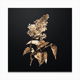 Gold Botanical Common Pink Lilac Plant on Wrought Iron Black n.4833 Canvas Print