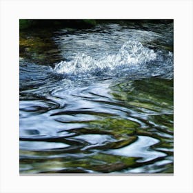 Water Splashing Canvas Print