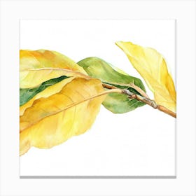 Autumn Leaves Watercolor Painting 2 Canvas Print