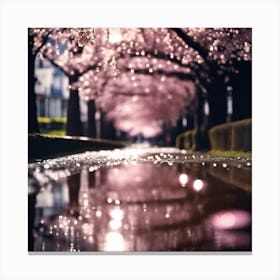 Driveway through Avenue of Cherry Blossom Trees Canvas Print