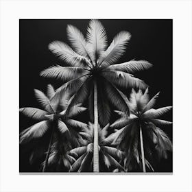 Black And White Palm Trees Canvas Print