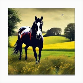 Horse In The Field 5 Canvas Print