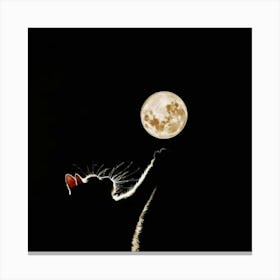 Cat Reaching For The Moon Canvas Print