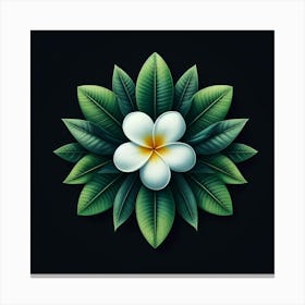 Frangipani Flower 2 Canvas Print