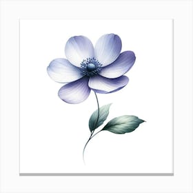 Anemone Flower 4 Canvas Print