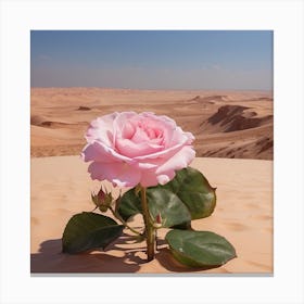 A rose in the desert Canvas Print