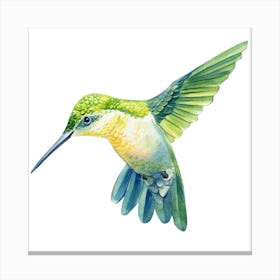 Bird1 Canvas Print