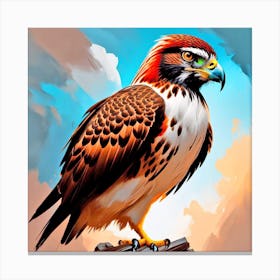 Hawks 7 Canvas Print