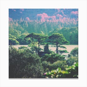 Taller Trees Canvas Print