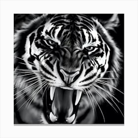 Tiger 24 Canvas Print